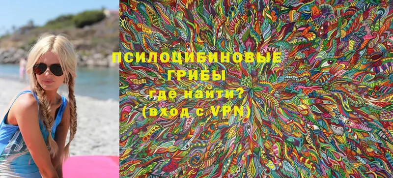 Псилоцибиновые грибы Magic Shrooms  где продают   Скопин 